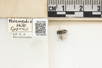 Media type: image;   Entomology 790664 Aspect: Labels
